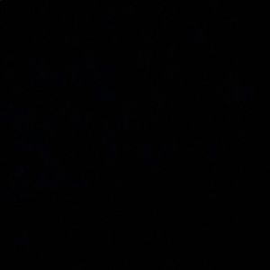 Meet your Posher, Eva